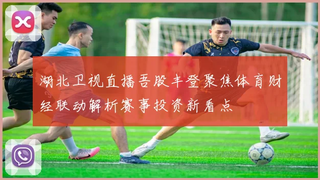 湖北卫视直播吾股丰登聚焦体育财经联动解析赛事投资新看点