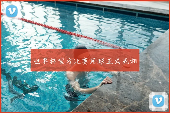 世界杯官方比赛用球正式亮相