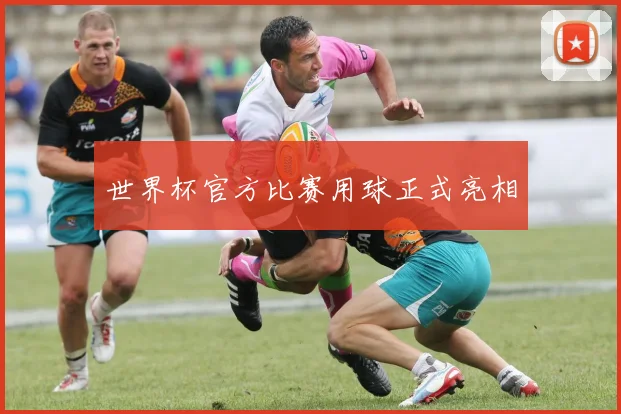 世界杯官方比赛用球正式亮相