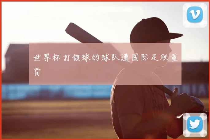 世界杯打假球的球队遭国际足联重罚
